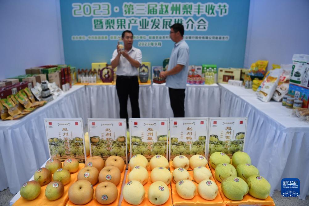 网站真实棋牌